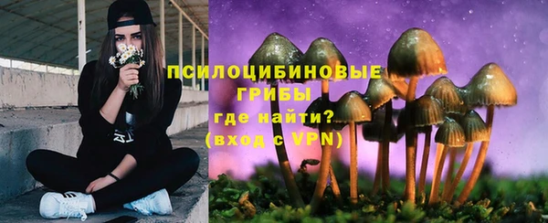 МДПВ Алзамай